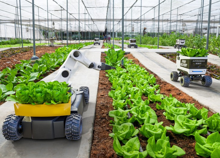 Buy now to get a dependable agricultural power solution
